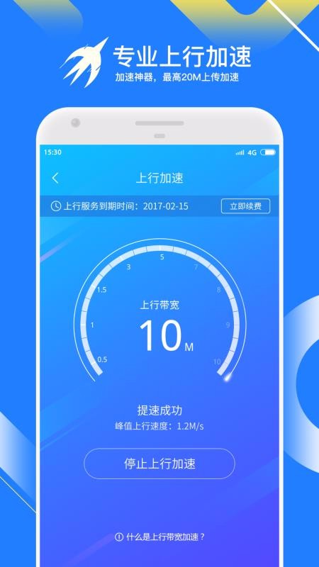 迅雷快鳥1