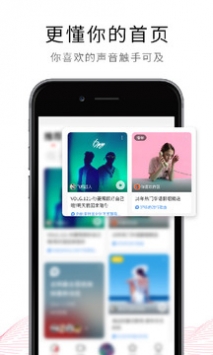 荔枝3