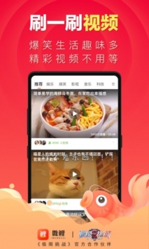 微鯉2