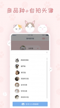 貓咪翻譯器2
