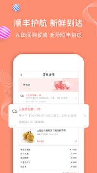 順豐大當家3