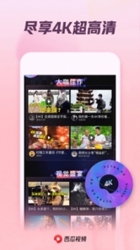 西瓜影院app普通版2