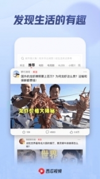 西瓜影院app普通版4