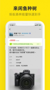 閑魚(yú)二手回收4