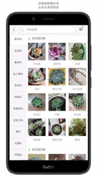 拍照識花1