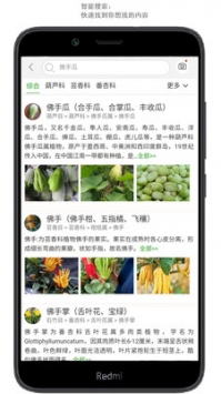拍照識花2