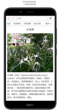拍照識花3