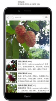 拍照識花4