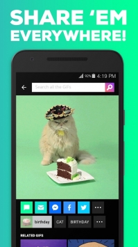 giphy2