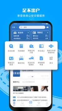 12123電子駕駛證3