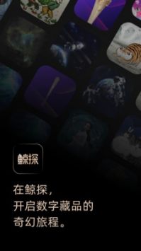 鯨探0