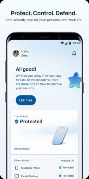 Microsoft Defender1