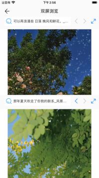 久久瀏覽器免費版1