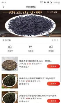 愛茶網2