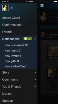 steam中文版1