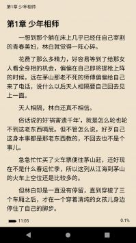 全本小說TXT免費閱讀器2