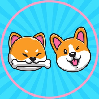 ShibaCorgi交易所|SHICO交易平臺