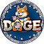 StarDOGE交易所|STARDOGE交易平臺